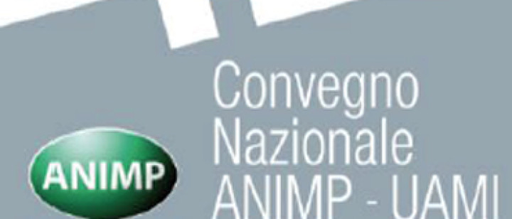 Techfem is the main sponsor of the 42nd National Convention ANIMP-UAMI