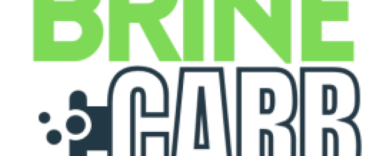 Progetto europeo BRINE CARB