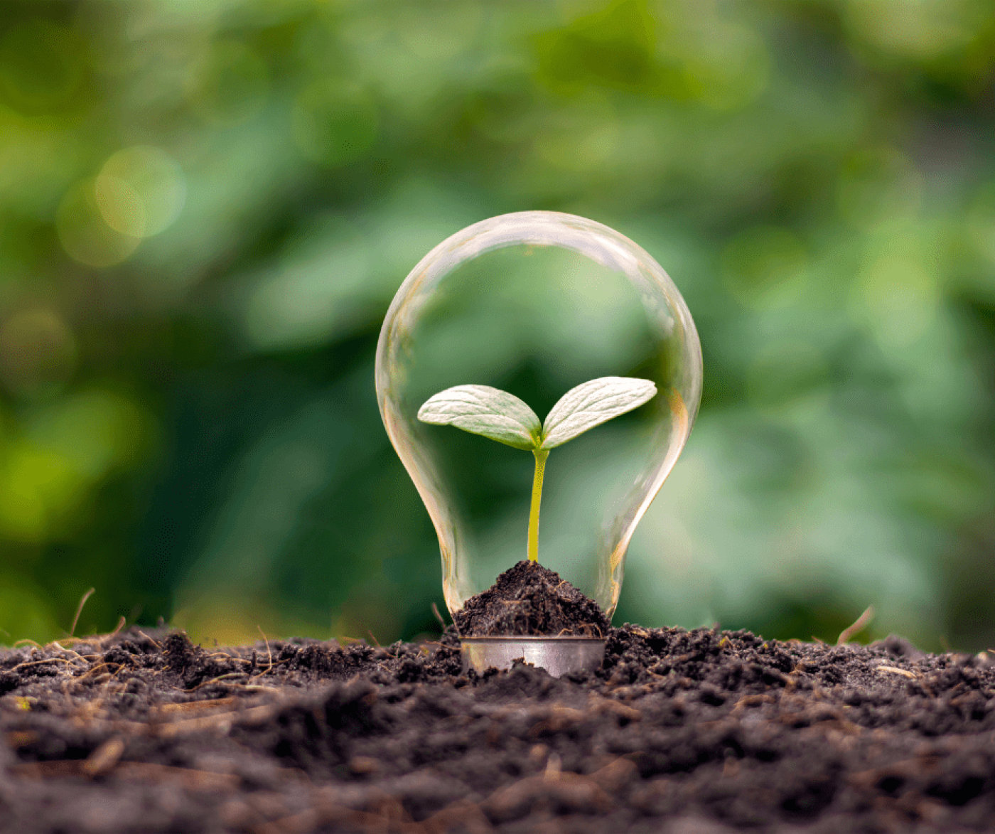Techfem co-finanziatrice del Corso di Dottorato Nazionale in Sustainable Development and Climate change – 39° ciclo – A.A. 2023/2024