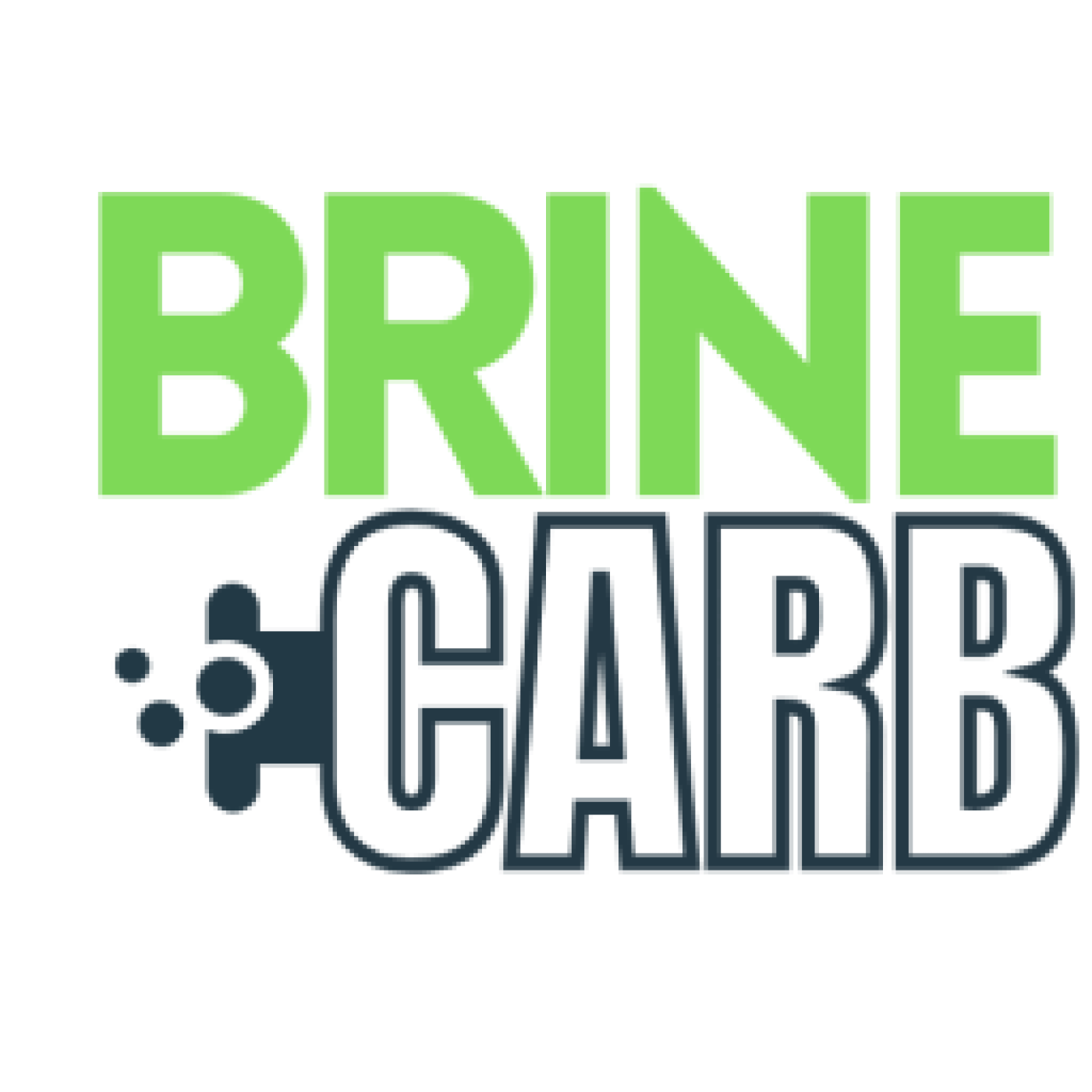 Progetto europeo BRINE CARB