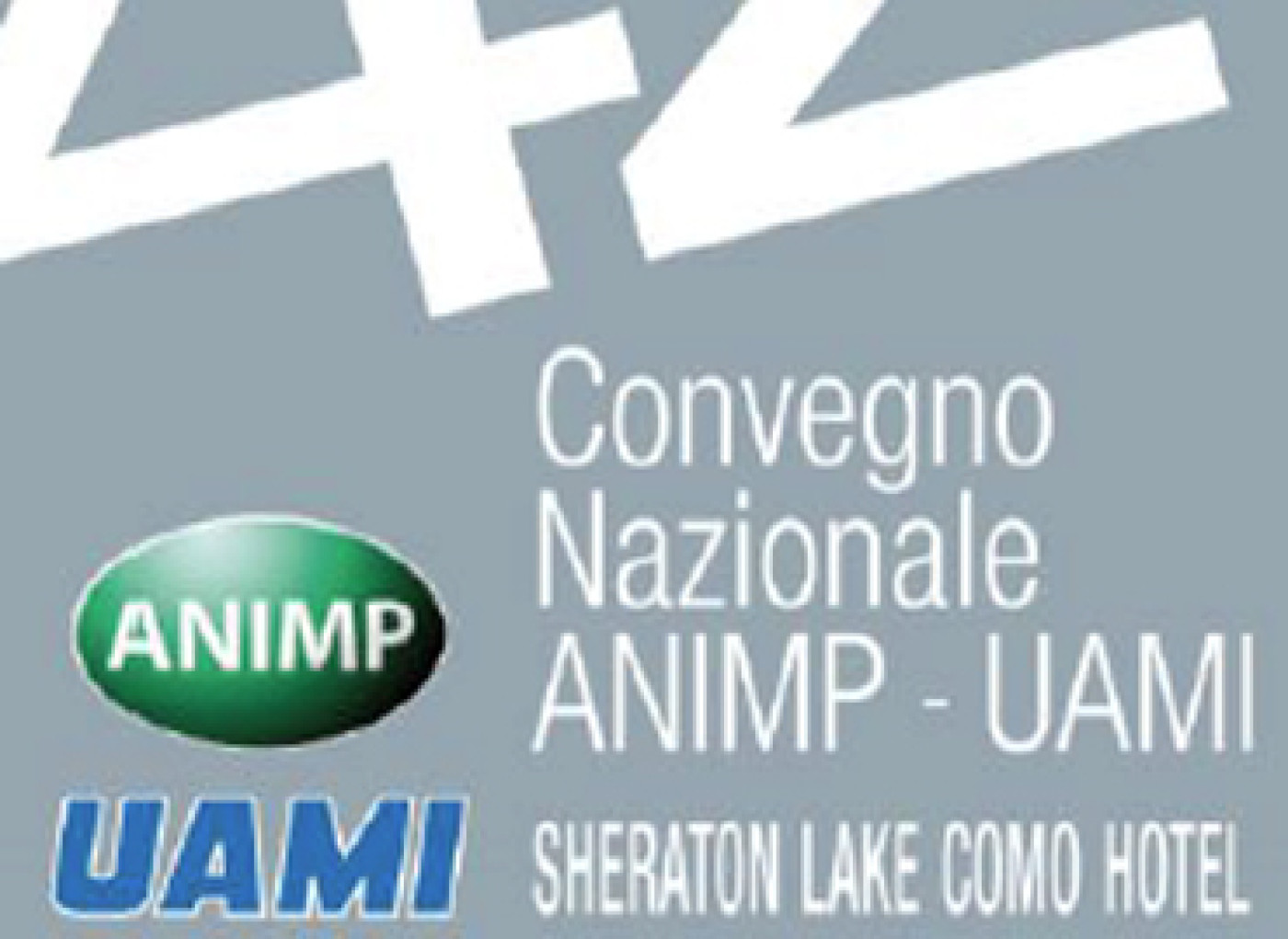 Techfem is the main sponsor of the 42nd National Convention ANIMP-UAMI