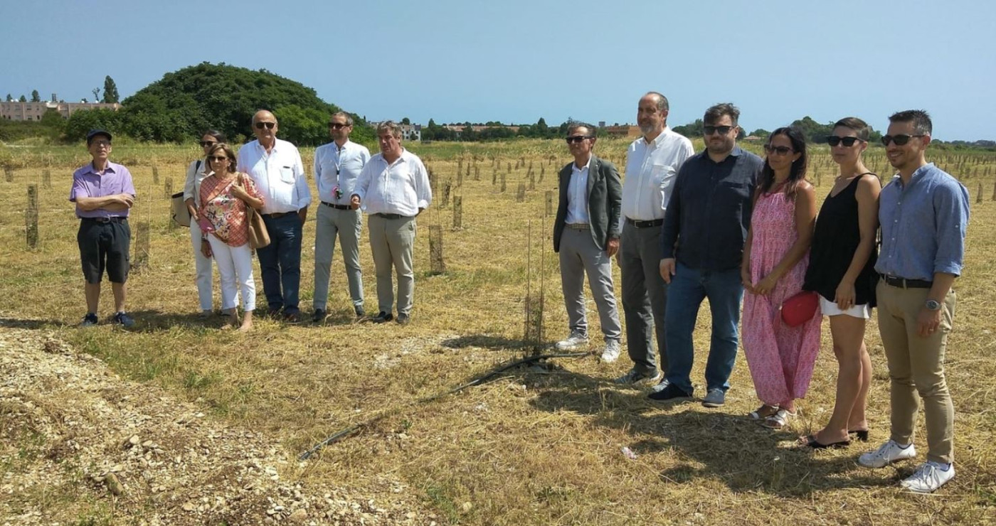 Nuovo Bosco Urbano a Fano