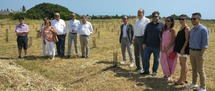 New Urban Forest in Fano